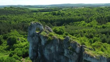 Polonya 'daki Jura Krakowsko-Czestochowska' da kireç taşı. Okiennik Wielki kayası