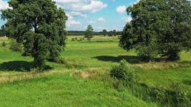 Yeşil çayırlar üzerinde güzel bir yaz günü