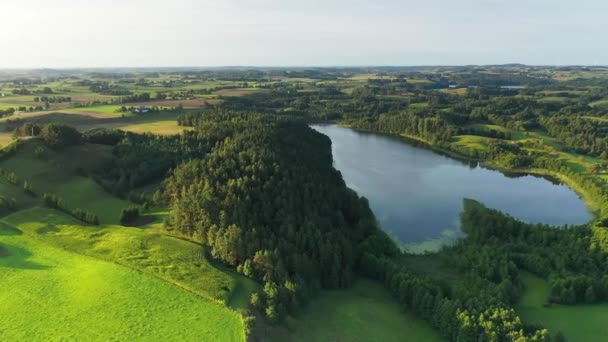 Krajobraz Drona Lotniczego Jeziorem Zielonymi Drzewami — Wideo stockowe