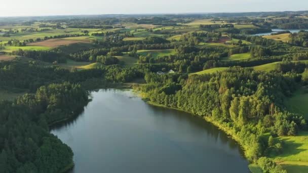 Krajobraz Drona Lotniczego Jeziorem Zielonymi Drzewami — Wideo stockowe