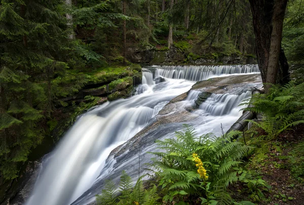 Schöner Wasserfall Wald — Stockfoto