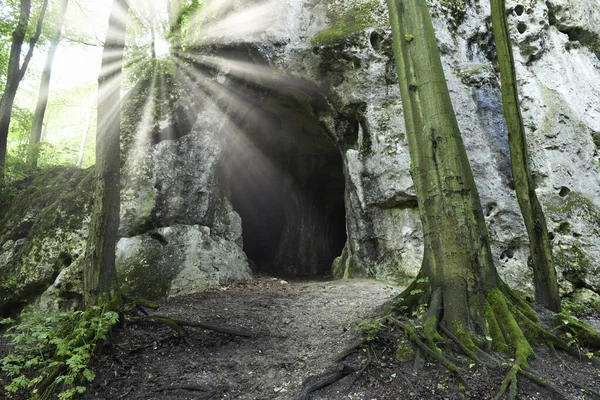 Grotte Dans Forêt Ensoleillée — Photo