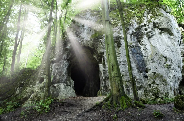 Grotte Dans Forêt Ensoleillée — Photo