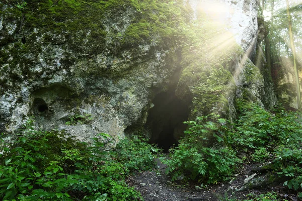 日当たりの良い森の洞窟 — ストック写真