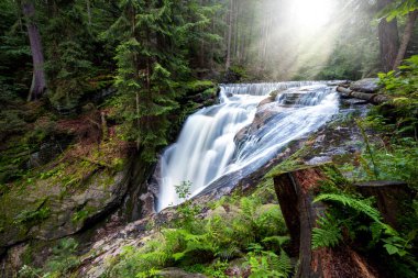 Ormanda güzel bir şelale