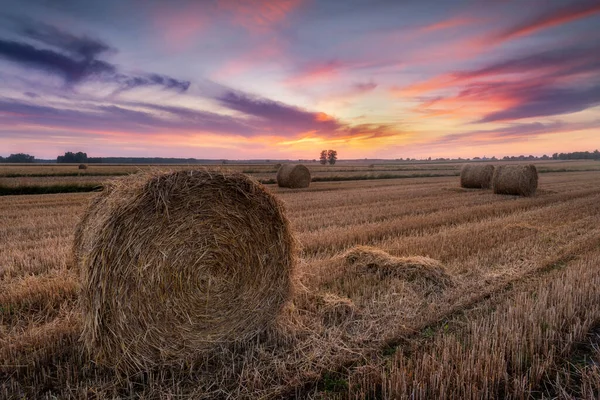 Schöner Sommersonnenaufgang Über Feldern Mit Heuballen — Stockfoto