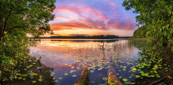 Hermoso Amanecer Verano Sobre Lago Panorama —  Fotos de Stock