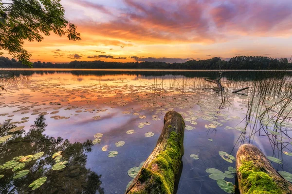Hermoso Amanecer Verano Sobre Lago —  Fotos de Stock