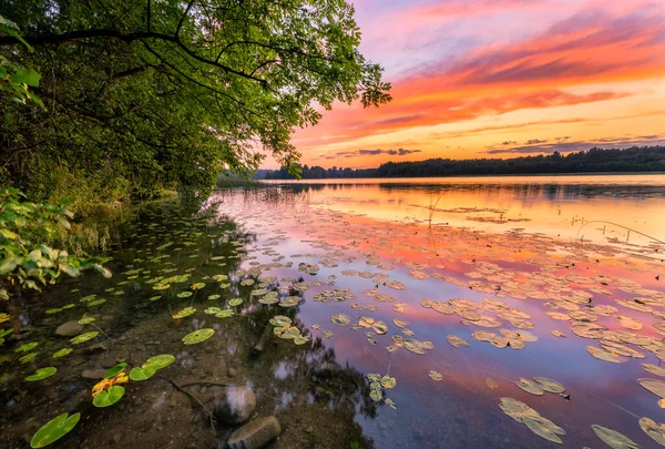 Krásný Letní Východ Slunce Nad Jezerem — Stock fotografie