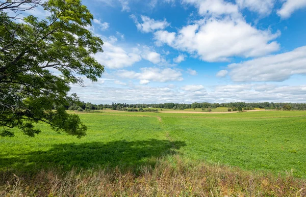 Beautiful Summer Landscape Green Fields Blue Sky — Foto de Stock