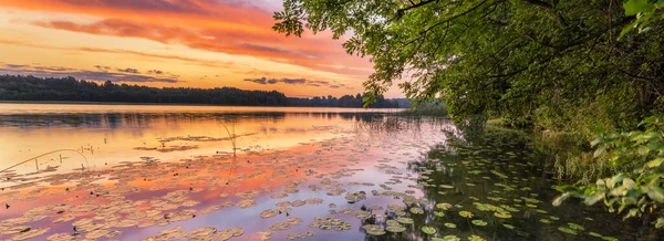 Gölün üzerinde güzel bir yaz gündoğumu