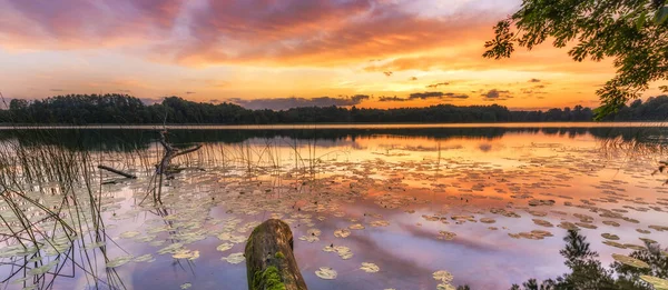 Hermoso Amanecer Verano Sobre Lago —  Fotos de Stock