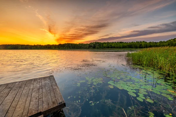 Hermoso Amanecer Verano Sobre Lago — Foto de Stock