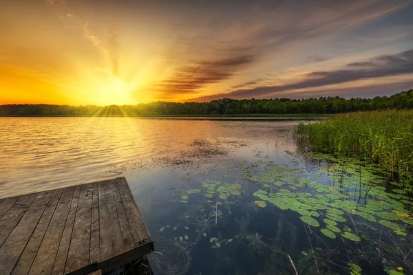 Frumos Răsărit Vară Peste Lac — Fotografie, imagine de stoc