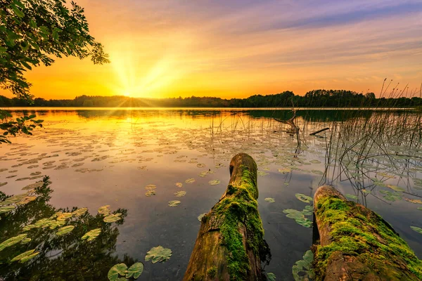 Vacker Sommar Soluppgång Över Sjön — Stockfoto