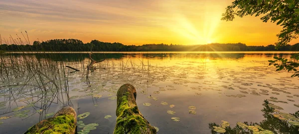 Schöner Sommersonnenaufgang Über Dem See — Stockfoto