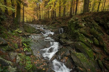 Dağlarda şelalesi olan güzel bir sonbahar ormanı