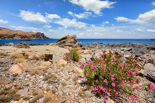 Beautiful Mediterranean Landscape Sea Blue Sky — Zdjęcie stockowe