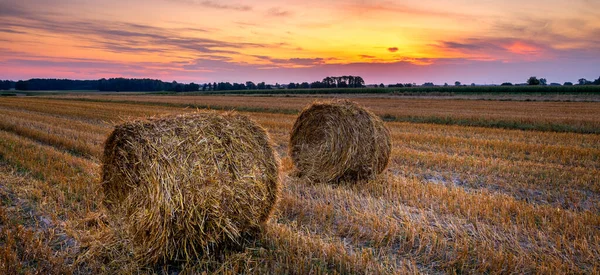 Prachtige Zomer Zonsopgang Velden Met Hooibalen — Stockfoto