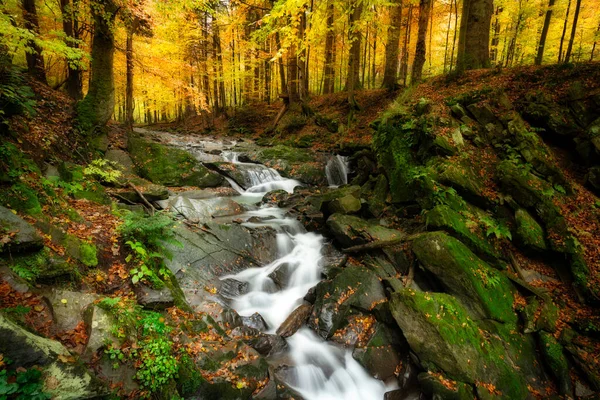 Schöner Herbstwald Den Bergen — Stockfoto