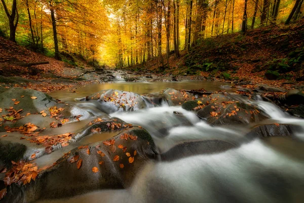 Bela Floresta Outono Nas Montanhas — Fotografia de Stock