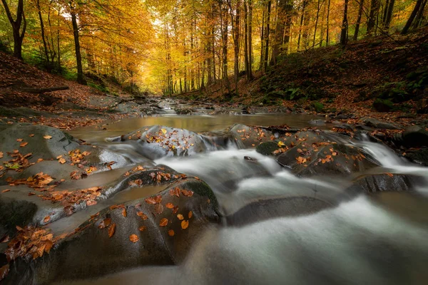 Schöner Herbstwald Mit Wasserfall Den Bergen — Stockfoto