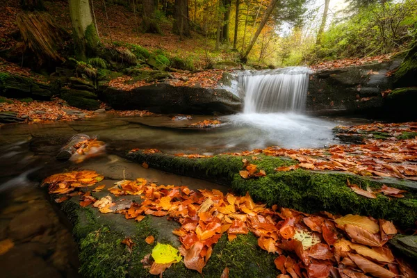 Schöner Herbstwald Den Bergen — Stockfoto