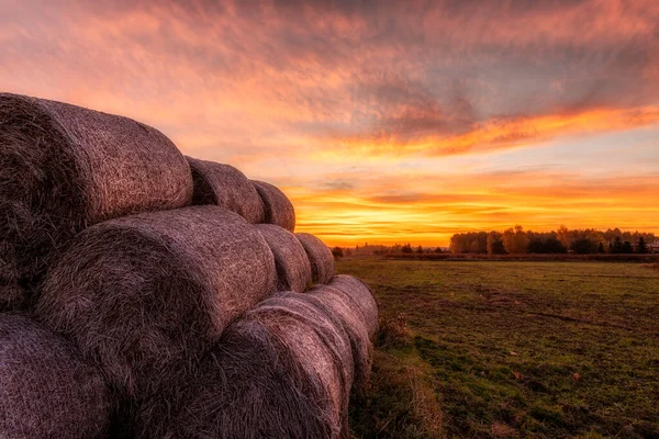 Beautiful Sunrise Fields Countryside — Stockfoto
