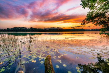 Beautiful summer sunrise over the lake clipart