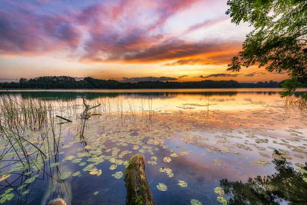 Schöner Sommersonnenaufgang Über Dem See — Stockfoto