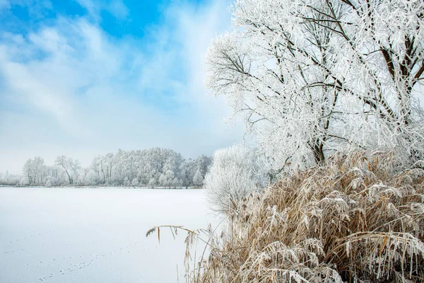Schöne Winterlandschaft Mit Bäumen Die Mit Raureif Bedeckt Sind — Stockfoto