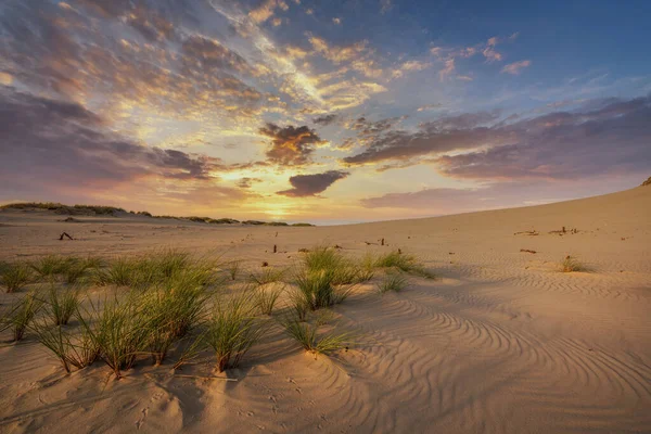 Prachtig Dessert Landschap Tijdens Het Gouden Uur — Stockfoto