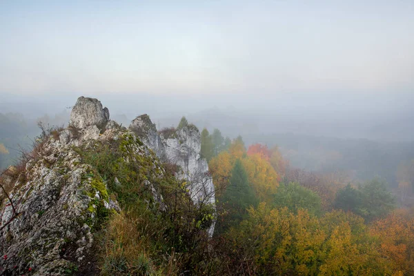 Ομιχλώδης Ημέρα Ασβεστόλιθους Βράχους Jura Krakowsko Czestochowska Πολωνία — Φωτογραφία Αρχείου