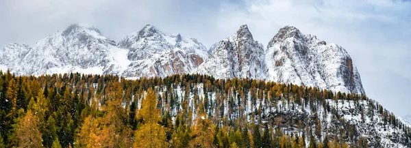 Krajobraz Wczesnej Zimy Jeszcze Żółtymi Drzewami — Zdjęcie stockowe