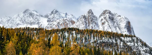 Peisajul Iernii Timpurii Copaci Încă Galbeni — Fotografie, imagine de stoc