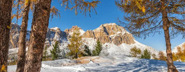 Paisagem Início Inverno Com Árvores Ainda Amarelas — Fotografia de Stock