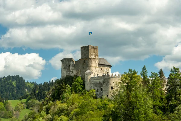 Ruïnes Van Het Middeleeuwse Kasteel Niedzica Polen — Stockfoto