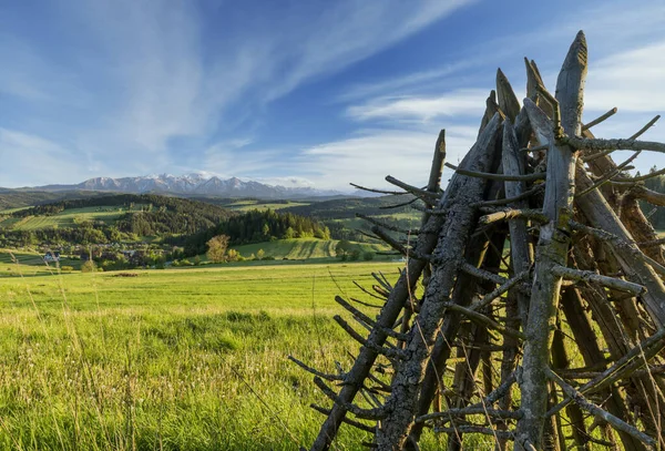 Beautiful Spring Landscape Pieniski National Park Poland — Stock Photo, Image