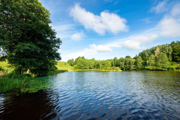 Beautiful Summer Day Lake — Stock Photo, Image