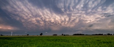 Tarlaların üzerinde büyük fırtına bulutu - mammatus bulutları