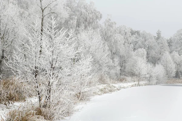 霜で覆われた木々 の美しい冬の風景 — ストック写真