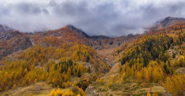 Sonbahar boyunca güzel dağlar manzarası