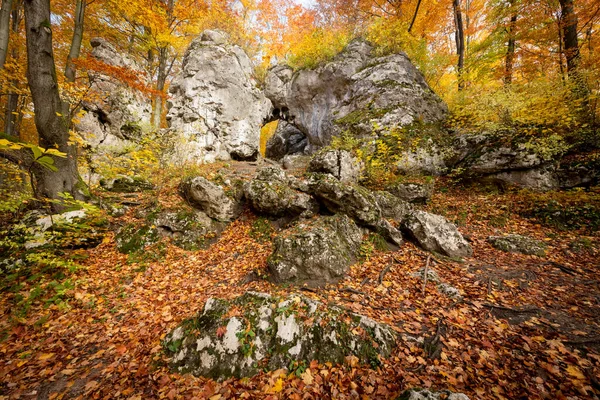 Zogenoemde Twardowskiegopoort Bossen Van Jura Krakowsko Czestochowska Polen — Stockfoto