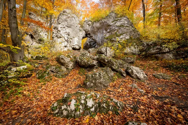 Porte Dite Twardowskiego Dans Les Forêts Jura Krakowsko Czestochowska Pologne — Photo