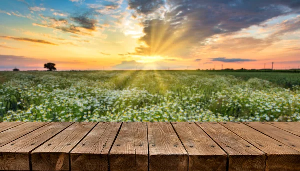 Prázdný Dřevěný Stůl Pozadí Letním Západem Slunce Pozadí — Stock fotografie