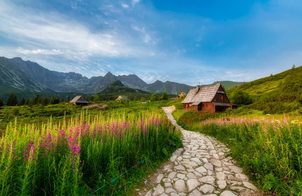 Polonya Daki Hala Gasienicowa Tatras Güzel Bir Yaz Günü — Stok fotoğraf