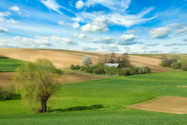 Schöne Frühlingslandschaft Mit Grünen Weiden Und Blauem Bewölkten Himmel — Stockfoto