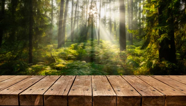 Empty Old Wooden Table Sunny Forest Background — Stock Photo, Image