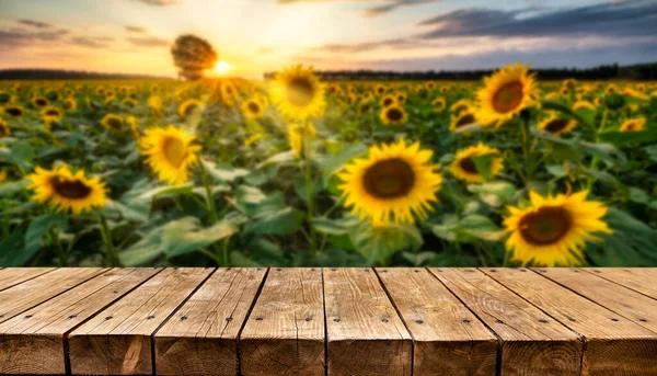 Vazio Mesa Madeira Velha Com Pôr Sol Campo Girassóis Fundo — Fotografia de Stock