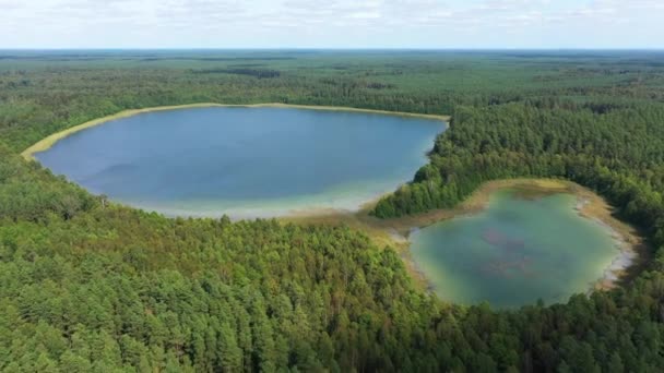 Luchtfoto Drone Landschap Met Meer Groene Bomen — Stockvideo